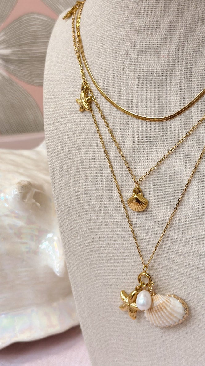 Gold seashell locket sale